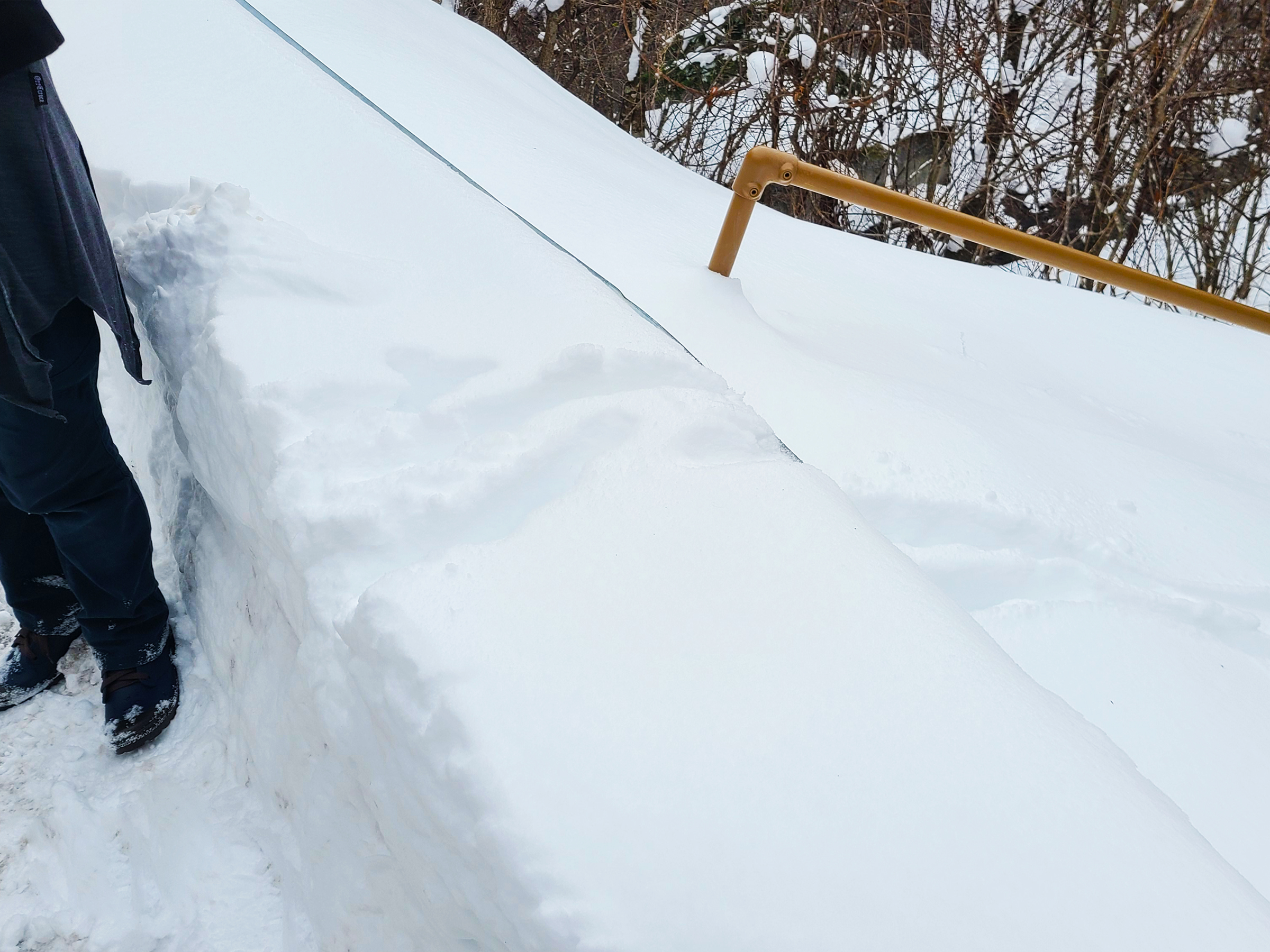 雪の上に鹿の足跡